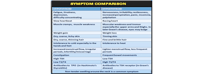 Thyroid