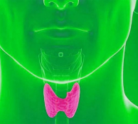 Thyroid disease